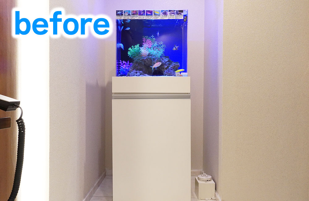 beforeの文字と白い水槽台に載る海水魚水槽