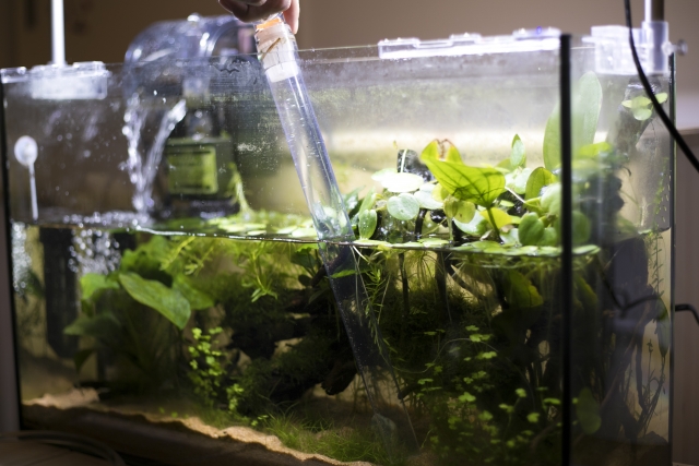 クリーナーポンプで水草水槽の掃除と換気を行う手元