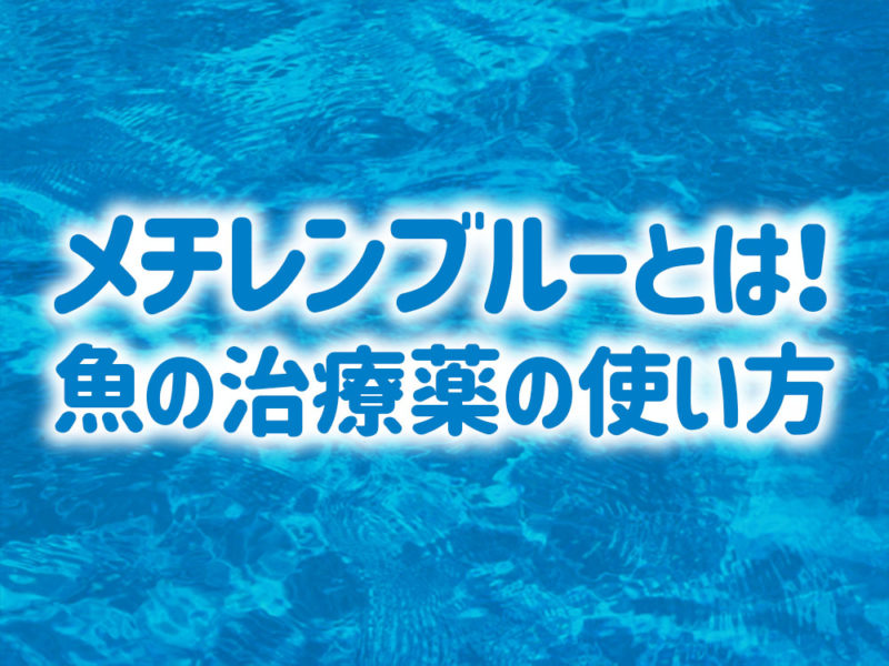 メチレンブルーとは！魚の治療薬の使い方の見出し画像