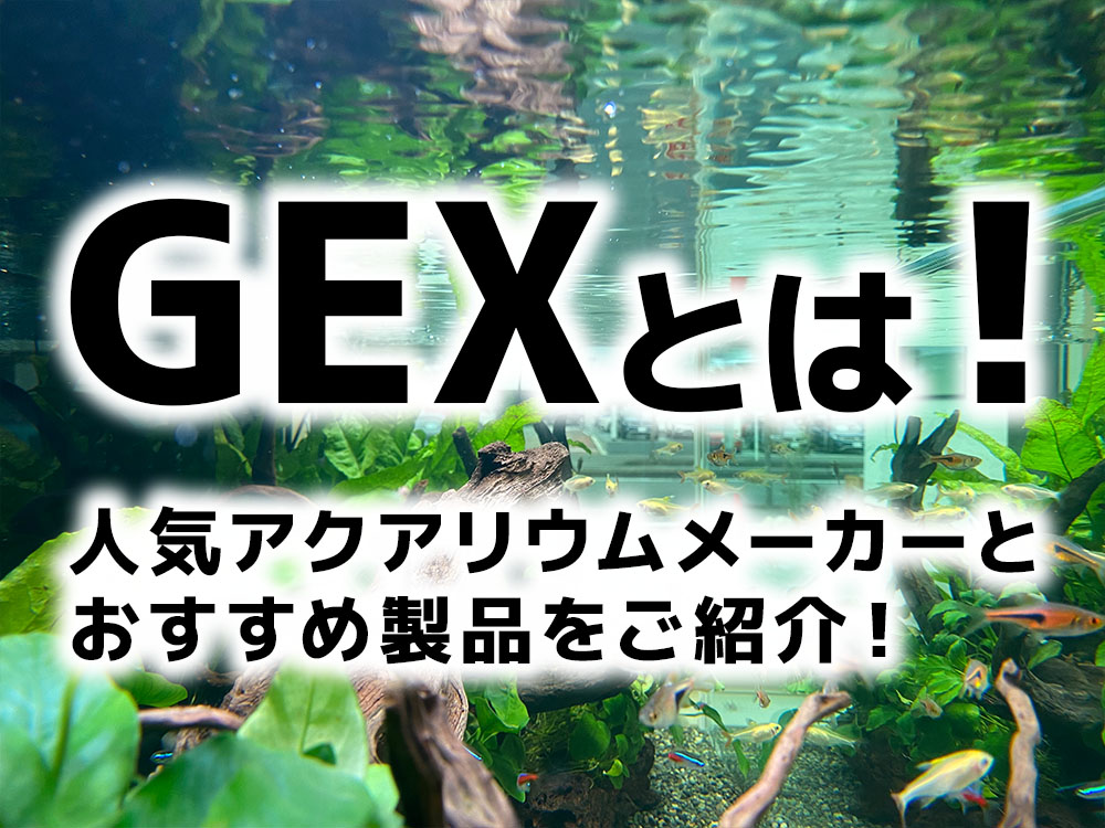 ジェックス(GEX)とは!人気のアクアリウムメーカーとおすすめ製品5選のサムネイル画像