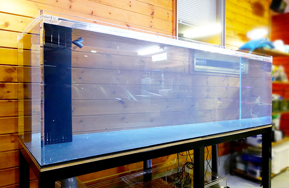 180cmの大型アロワナ水槽を特注制作!個人宅に設置しました