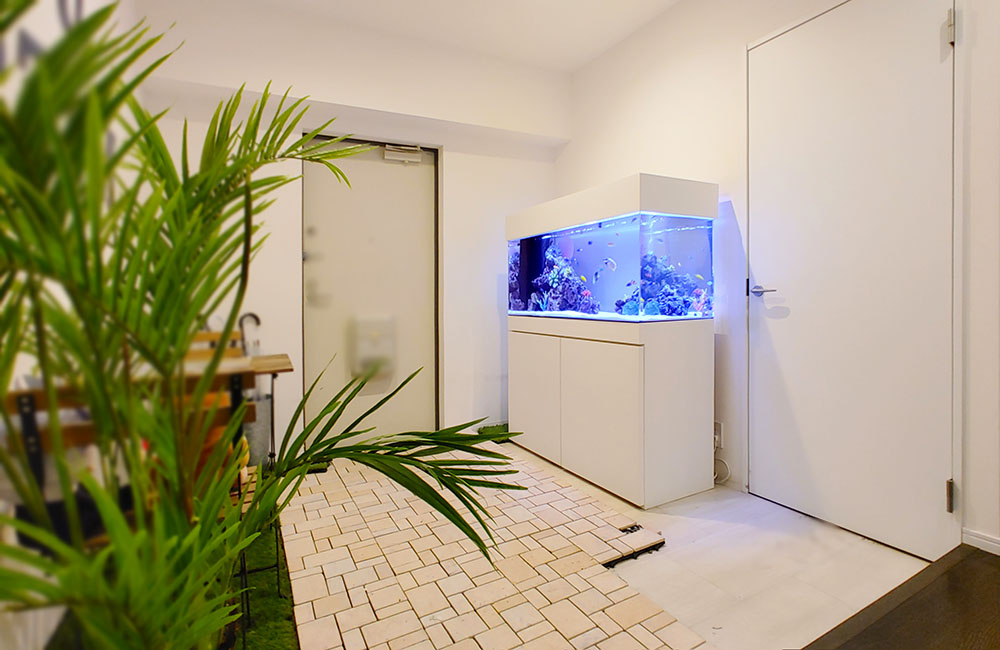 白い壁の部屋に設置された青く光る大型海水魚水槽