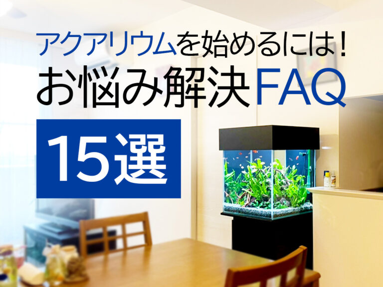 アクアリウムを始めるお悩み解決FAQ15選の見出し画像