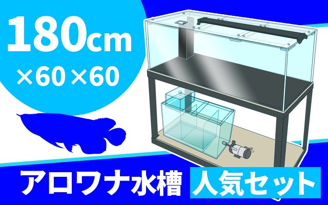 180cmアロワナ水槽人気セットの見出し画像