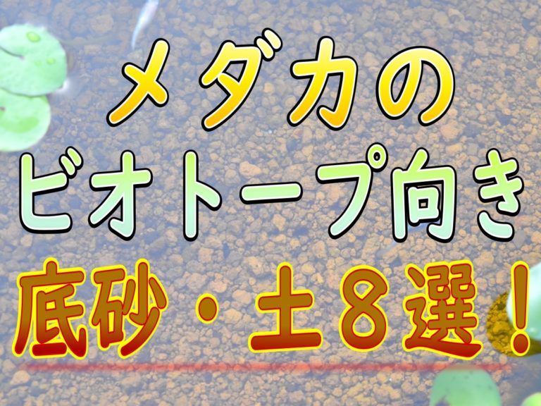 メダカのビオトープ向き底砂・土8選の見出し画像