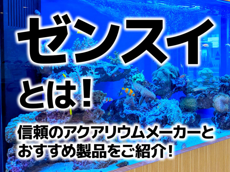 ゼンスイとは！信頼のアクアリウムメーカーとおすすめ製品の見出し画像