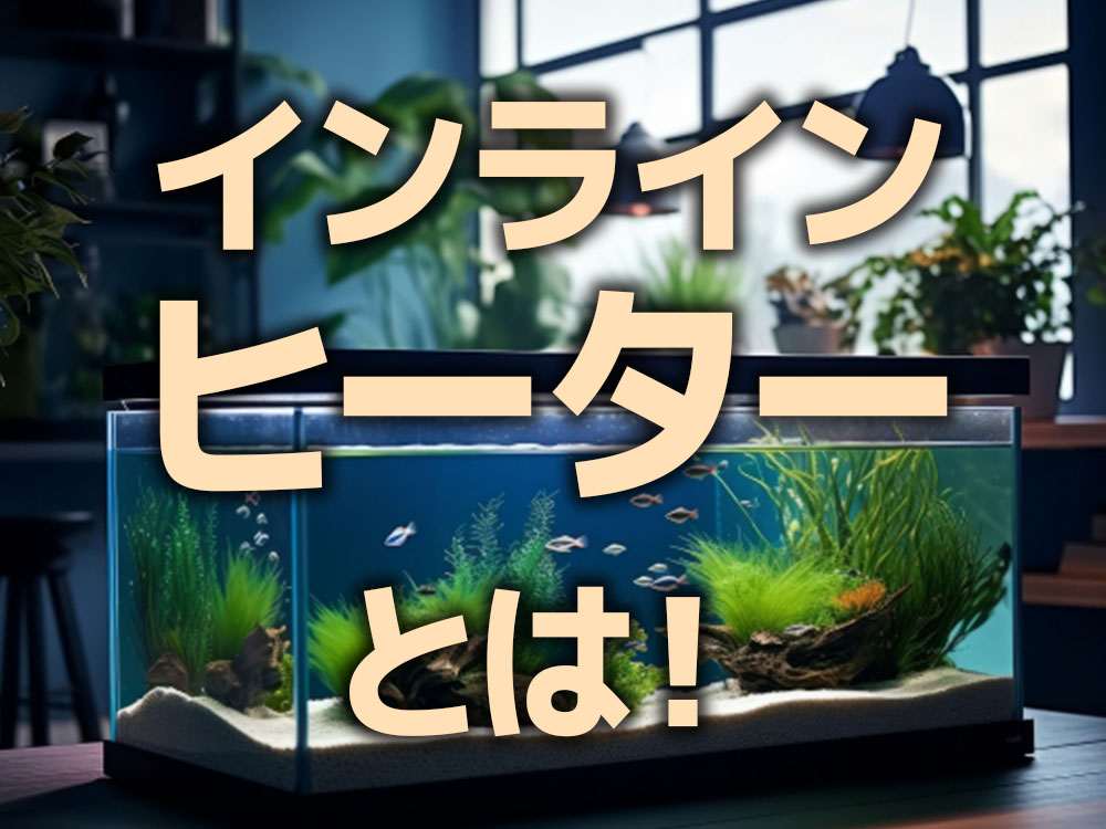 インラインヒーターとは！ホースにつなぐ水槽用ヒーターとろ過フィルター例のサムネイル画像