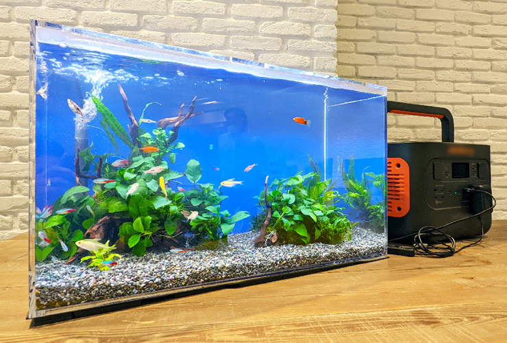 ポータブル電源と接続された熱帯魚水槽と水草のレイアウト