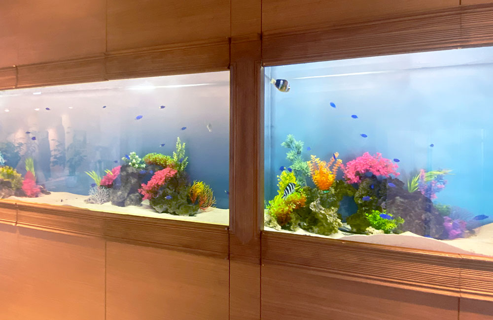 壁に埋め込まれた海水魚水槽とカラフルな人工サンガのレイアウト