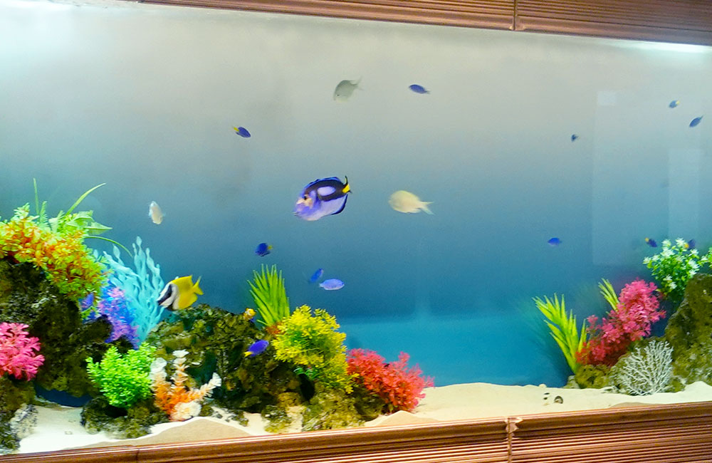 青い海水魚とカラフルな人工水草を配置した大型水槽