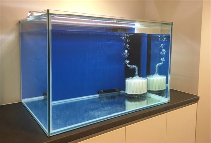 青い背景の水槽と投げ込み式フィルターの気泡