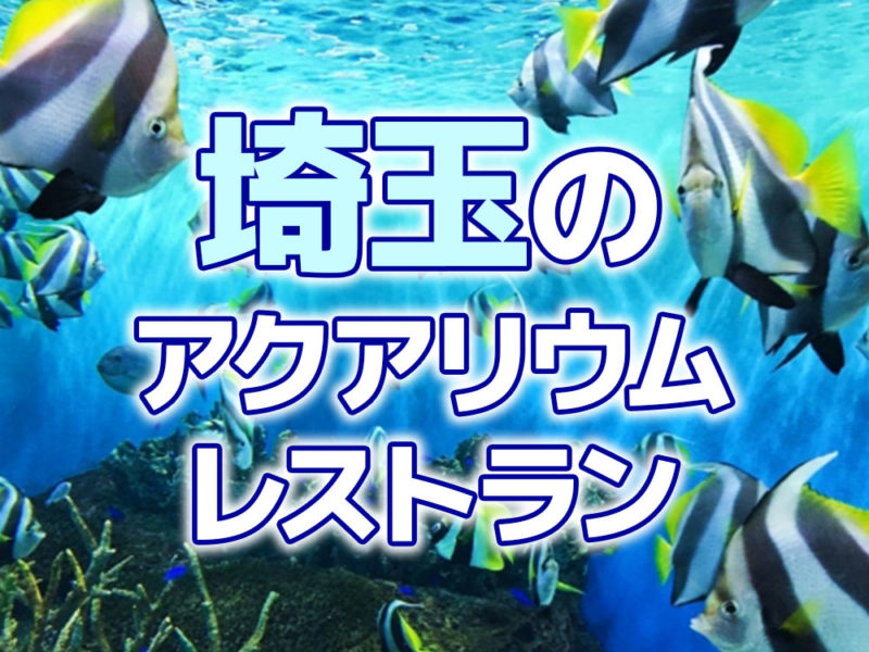 埼玉のアクアリウムレストランの文字と泳ぐ海水魚の見出し画像
