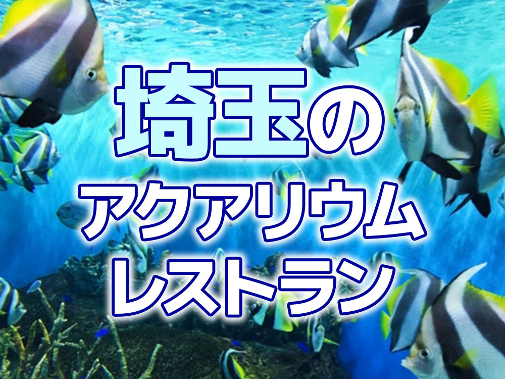 埼玉のアクアリウムレストラン!家族で楽しめる・水槽がある飲食店のサムネイル画像