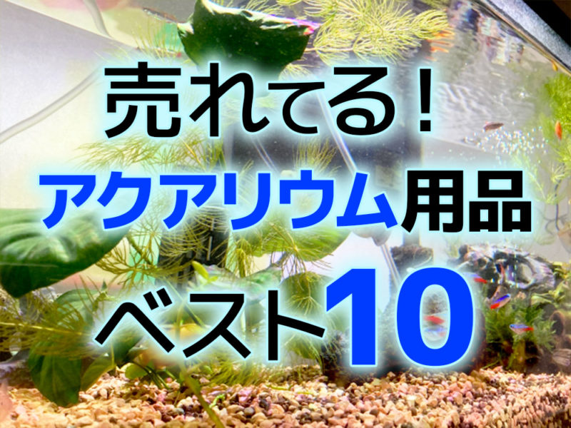 売れてるアクアリウム用品ベスト10の文字入り見出し画像
