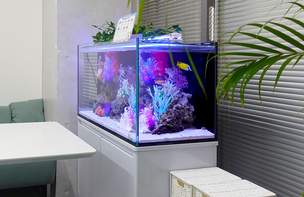 カラフルな人工サンゴを配置した海水魚水槽のレイアウト