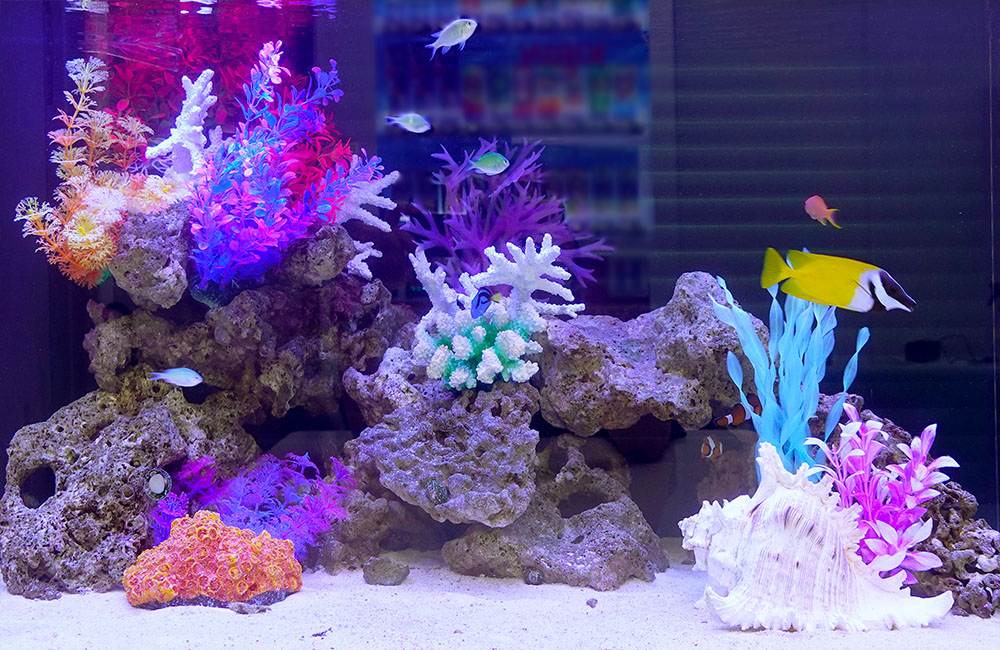 カラフルな人工サンゴと海水魚が泳ぐ海水水槽のレイアウト