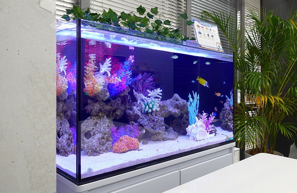 カラフルな人工サンゴと海水魚が泳ぐ大型水槽の設置例