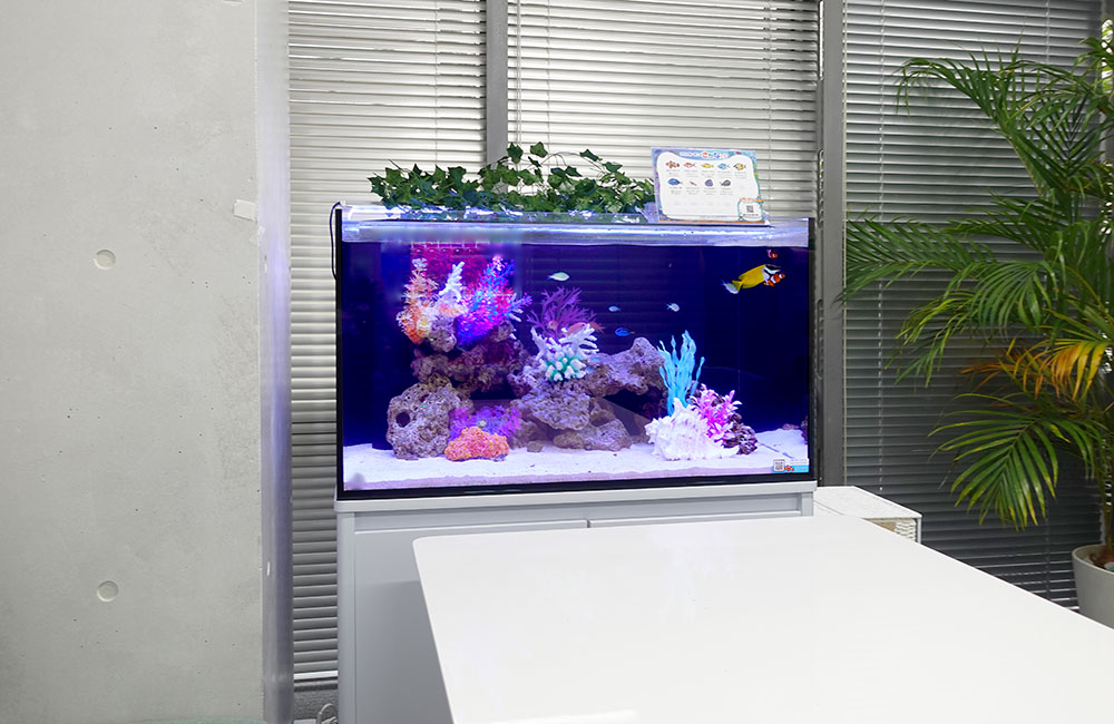 オフィスに設置された海水魚水槽と白いデスクの風景