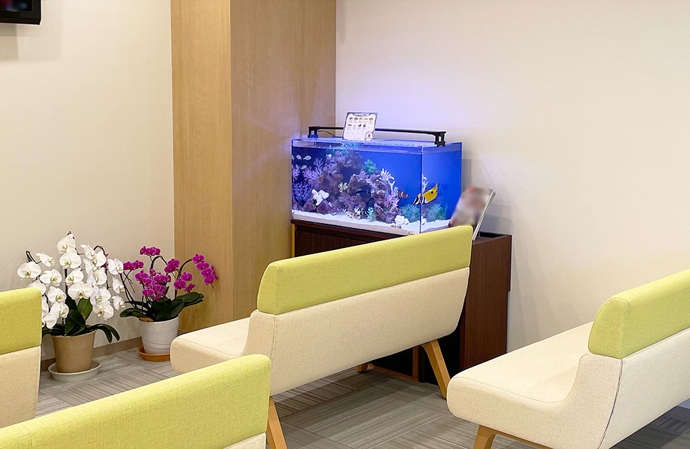 待合室のソファ奥に設置された海水魚水槽と胡蝶蘭の鉢植え