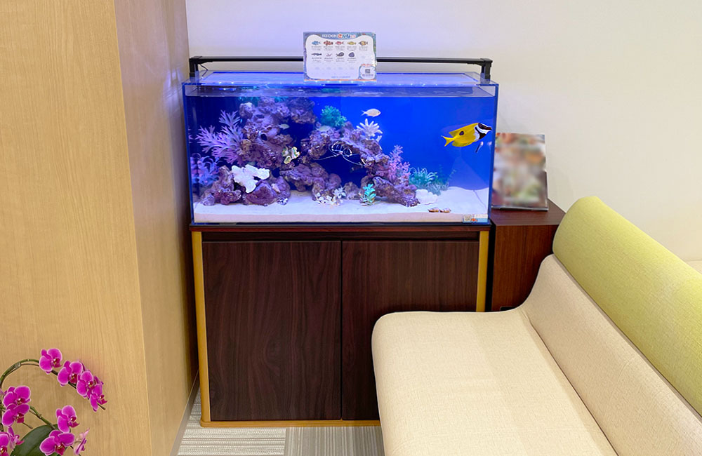 待合室のソファ横に設置された海水魚水槽と木製水槽台