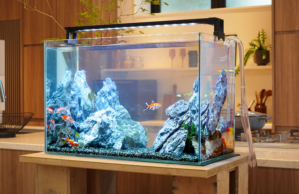 岩組レイアウトの水槽で泳ぐ金魚とLEDライトの照明