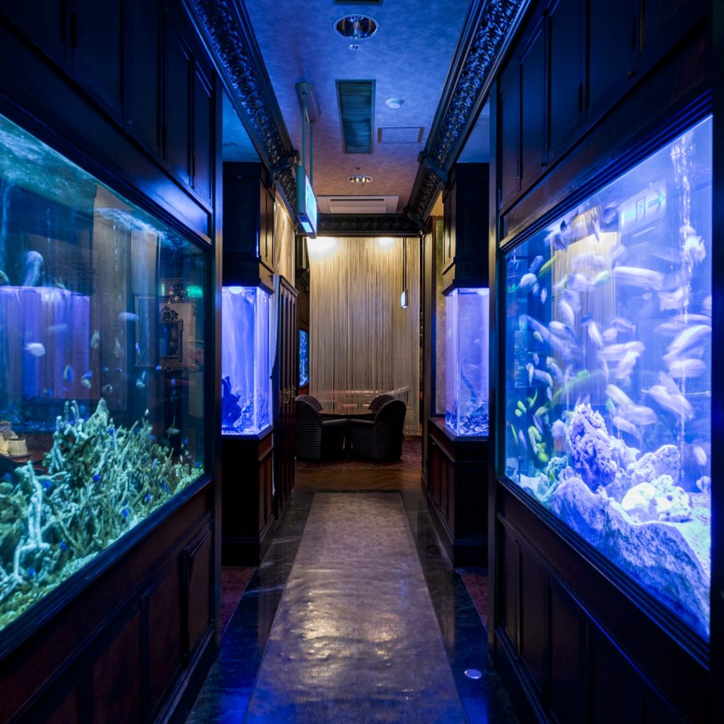 引用北新地 水響亭