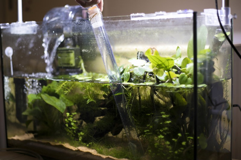 クリーナーポンプで水草水槽の掃除と換気を行う手元