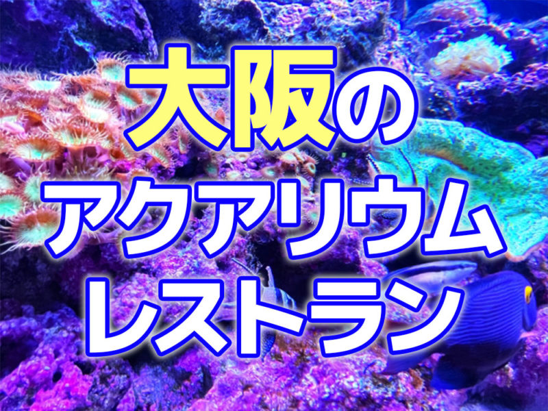 大阪のアクアリウムレストランの文字と海水魚の見出し画像