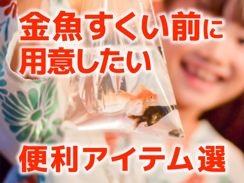 金魚すくい前に用意したい便利アイテム選の見出し画像