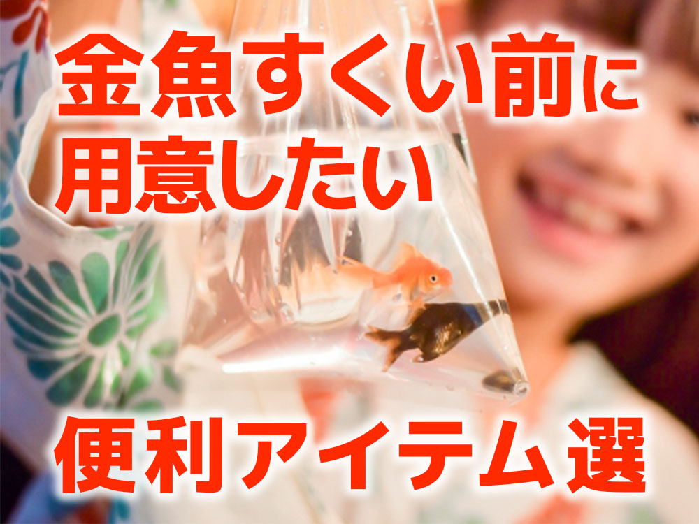 金魚すくいの前に用意したい、便利アイテム7つ！餌や水槽だけじゃない！のサムネイル画像