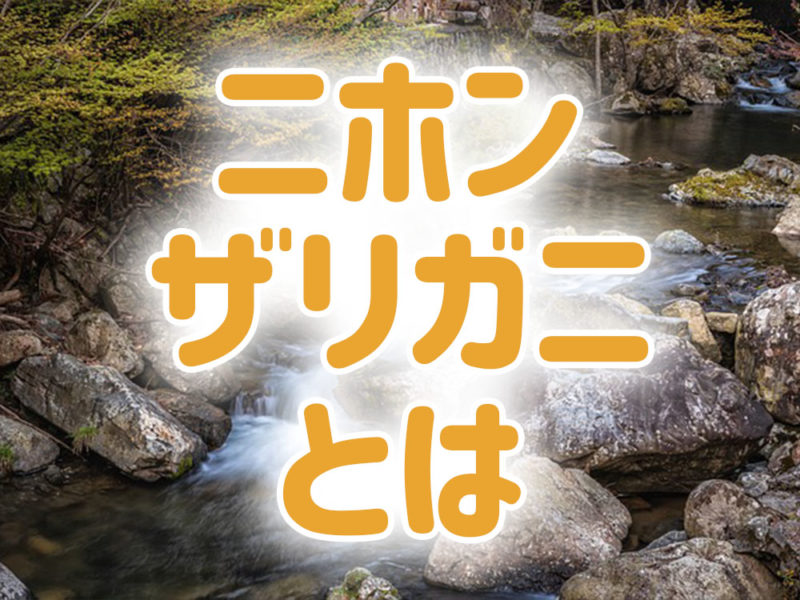 ニホンザリガニとはの文字と渓流の風景の見出し画像