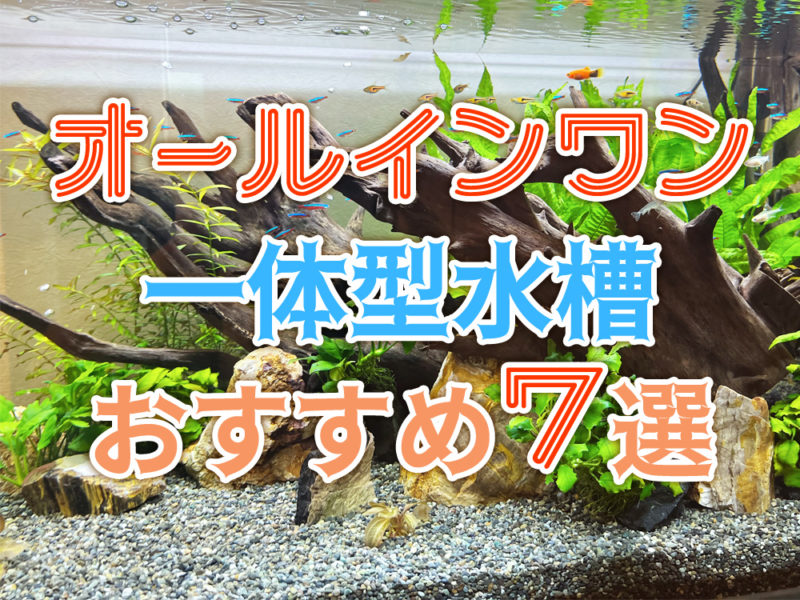 オールインワン一体型水槽おすすめ7選の見出し画像