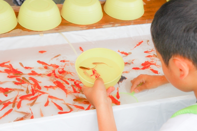 金魚すくいでボウルに入った金魚を持つ子供の姿