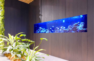 オフィスを演出！海水魚とサンゴの2.6ｍ大型埋め込み水槽・その後