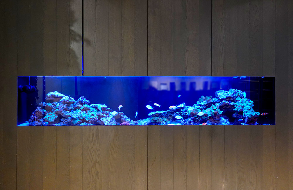 木目調の壁に埋め込まれた青い照明の大型海水魚水槽