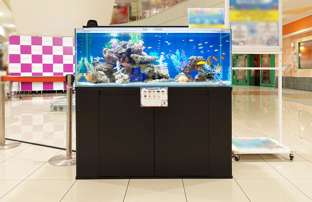 商業施設に設置された海水魚水槽と黒い水槽台