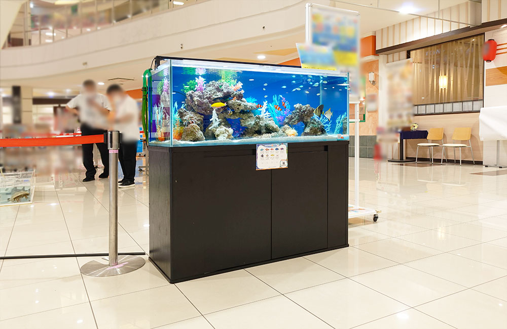120cm海水魚水槽のレンタル・リース料金について