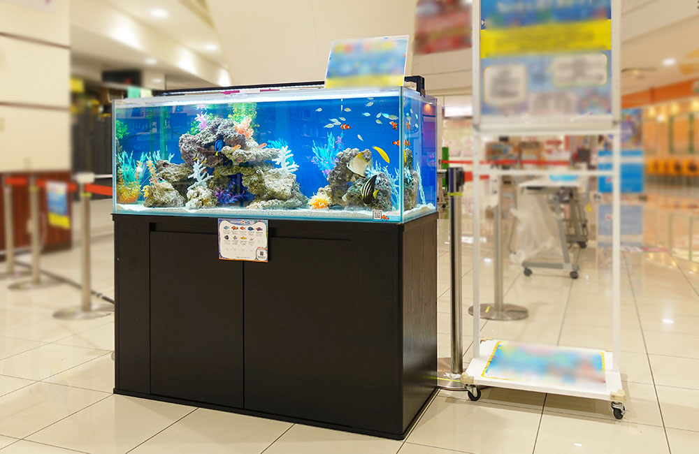 商業施設に設置された海水魚が泳ぐ大型水槽の展示風景