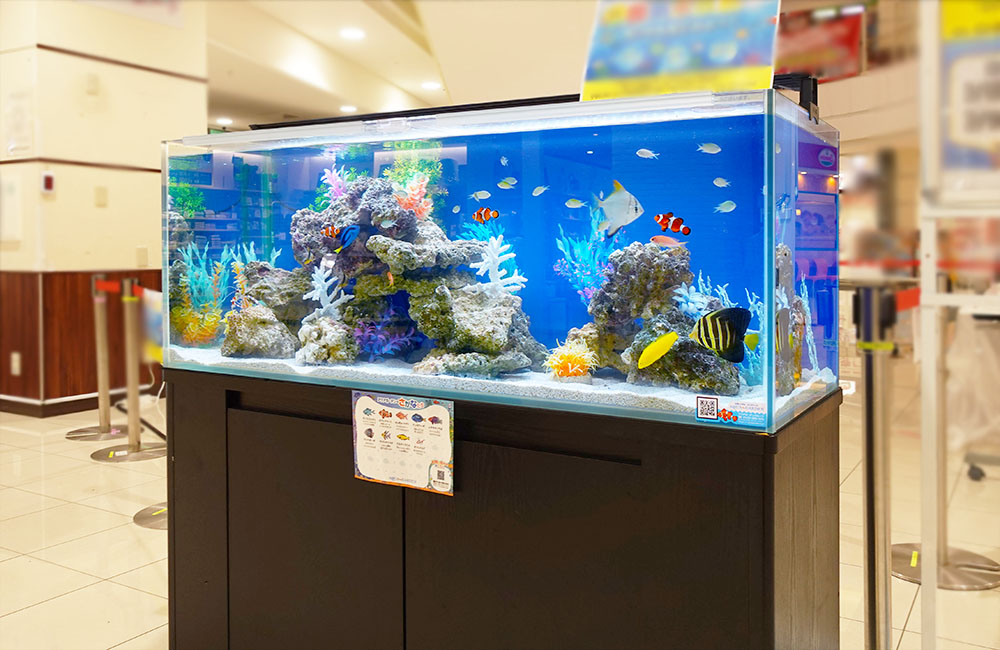 商業施設に設置された海水魚が泳ぐ大型水槽の展示