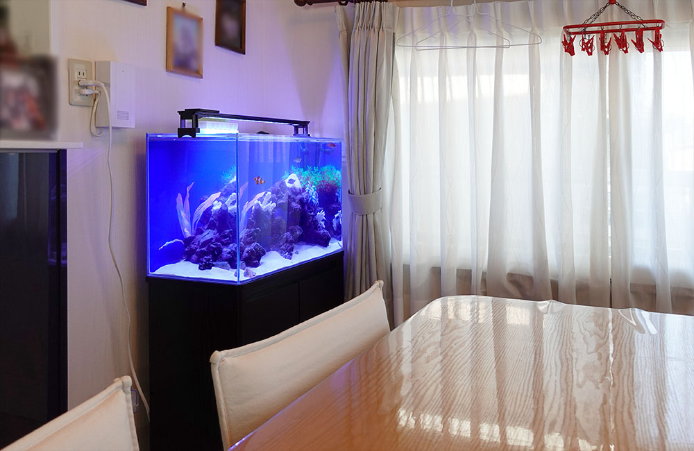 リビングのテーブル横に設置された青い照明の海水魚水槽
