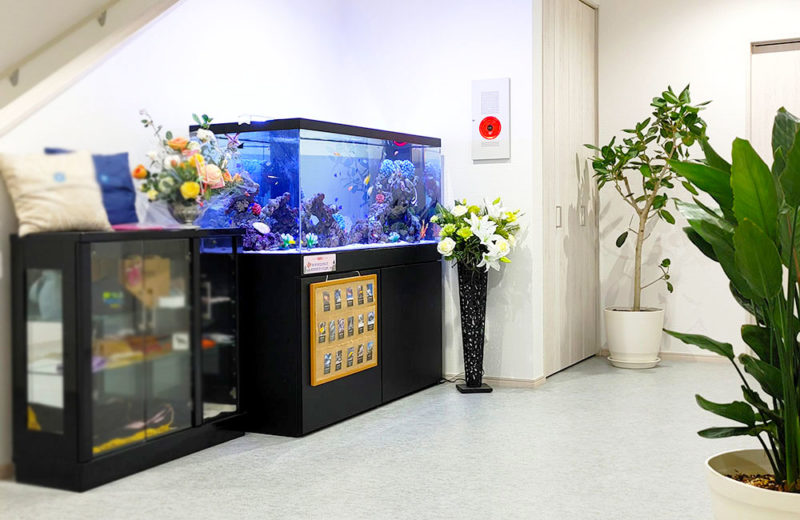 18種類の海水魚・生き物が泳ぐ!企業エントランスの150cmの大型水槽 水槽画像5