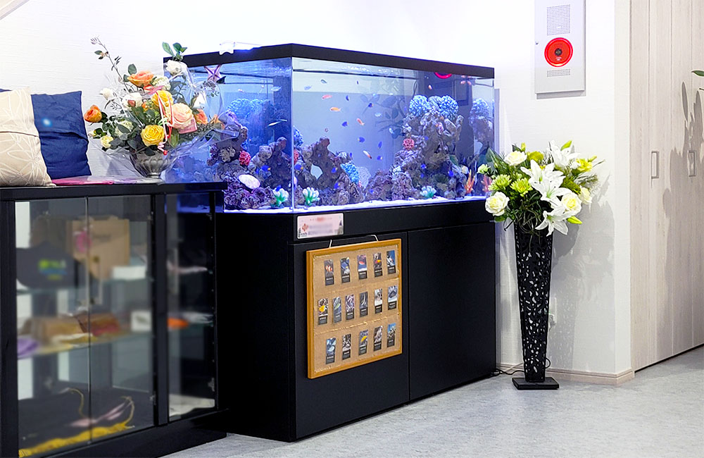 花に囲まれた大型海水魚水槽と魚の紹介パネル