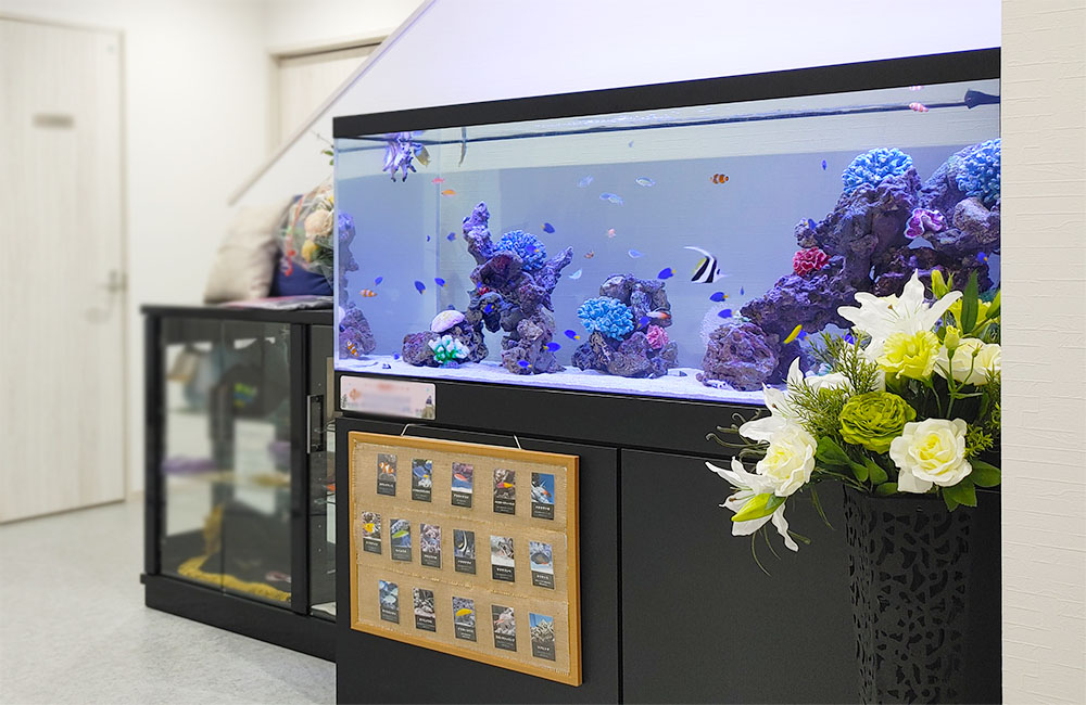 海水魚が泳ぐ大型水槽と横に添えられた白い花束