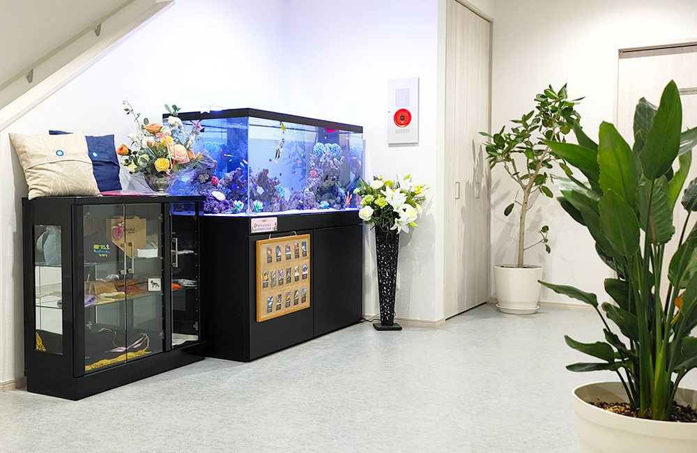 観葉植物と並んで設置された大型の海水魚水槽