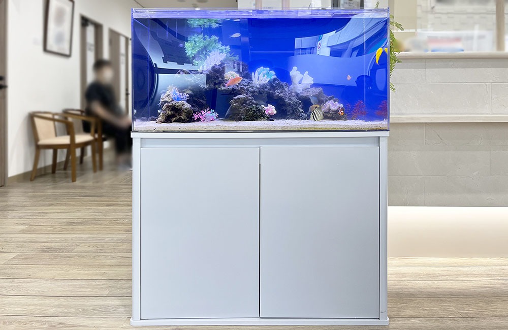 白い水槽台に設置された青い背景の海水魚水槽