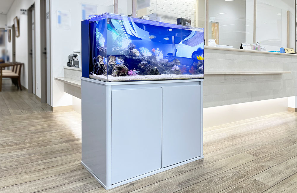 海水魚水槽