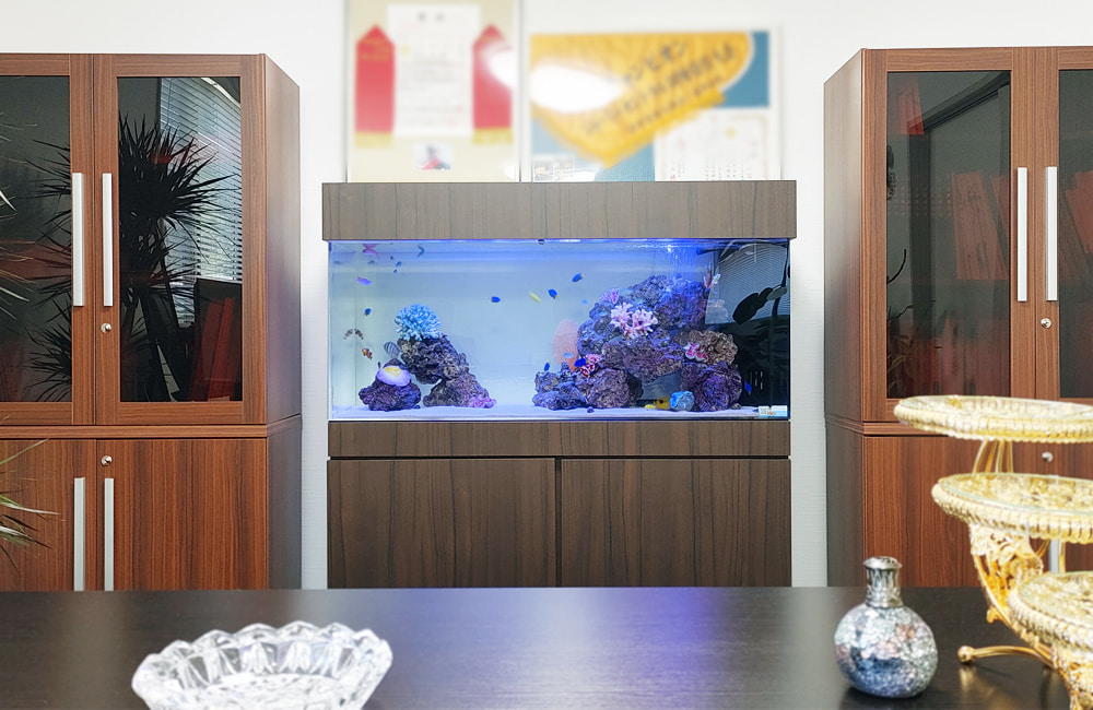 木目調の棚に設置された青い照明の海水魚水槽
