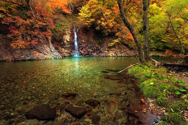 紅葉した木々に囲まれた滝と透明度の高い川の風景