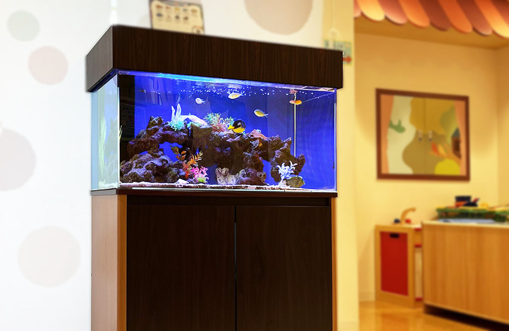 木目調の台に設置された海水魚が泳ぐ水槽の全景