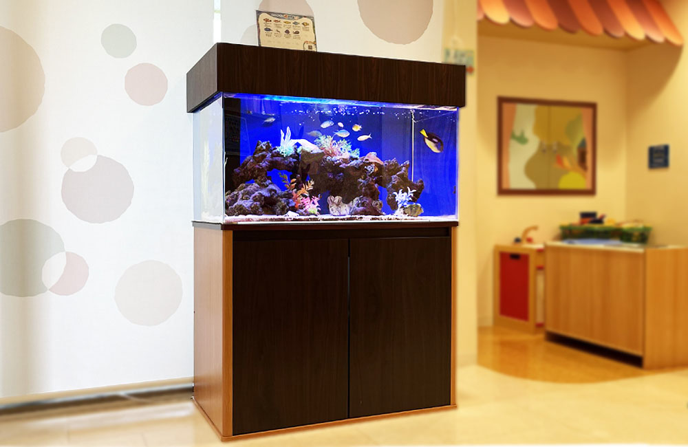 90ｃｍ水槽